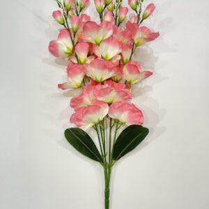 Gladiolus Bunch