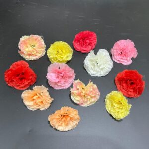 Carnation Small 6 Petal