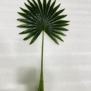 Chinese Palm Leaf Small