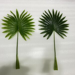 Chinese Palm Leaf Small