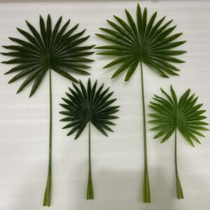 Chinese Palm Leaf Big