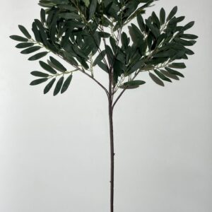 Olive Leaf 40F Stick