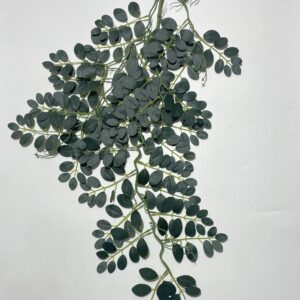 Eucalyptus Leaf 33F Hanging