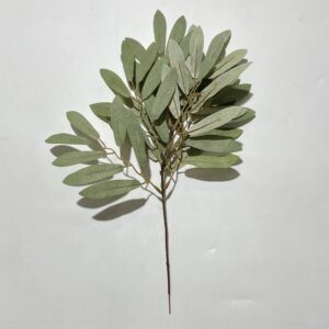 Olive Leaf 8F Stick